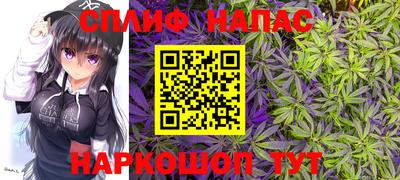 стаф Краснодар