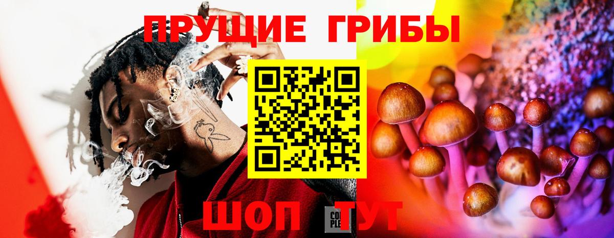 Псилоцибиновые грибы Cubensis  Вход с VPN  Псилоцибиновые грибы ЛСД  Заволжье 